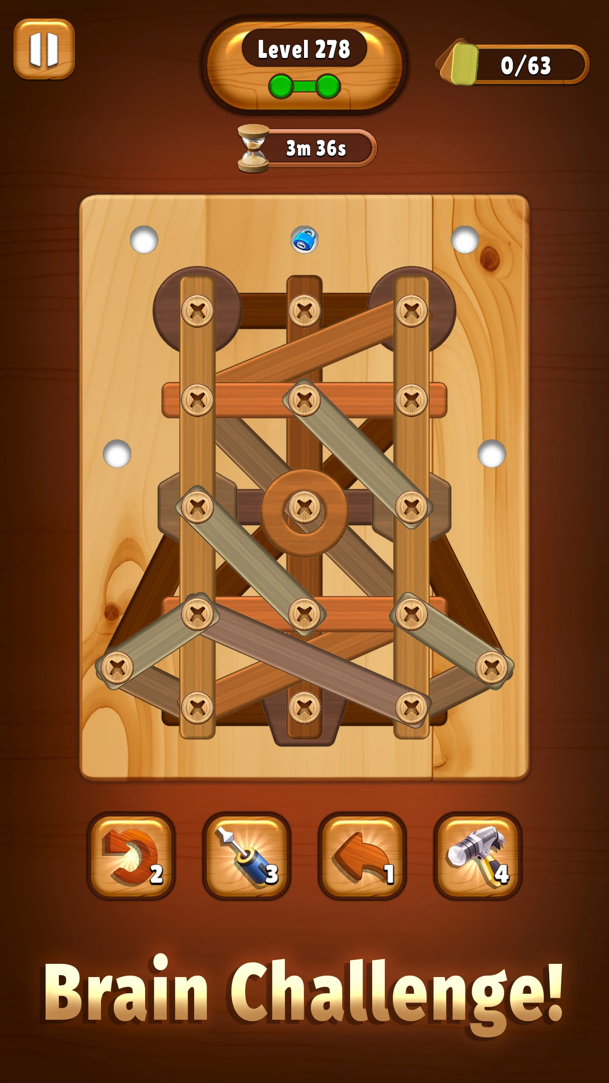 Screw Wood Puzzle - Nuts Bolts screenshot