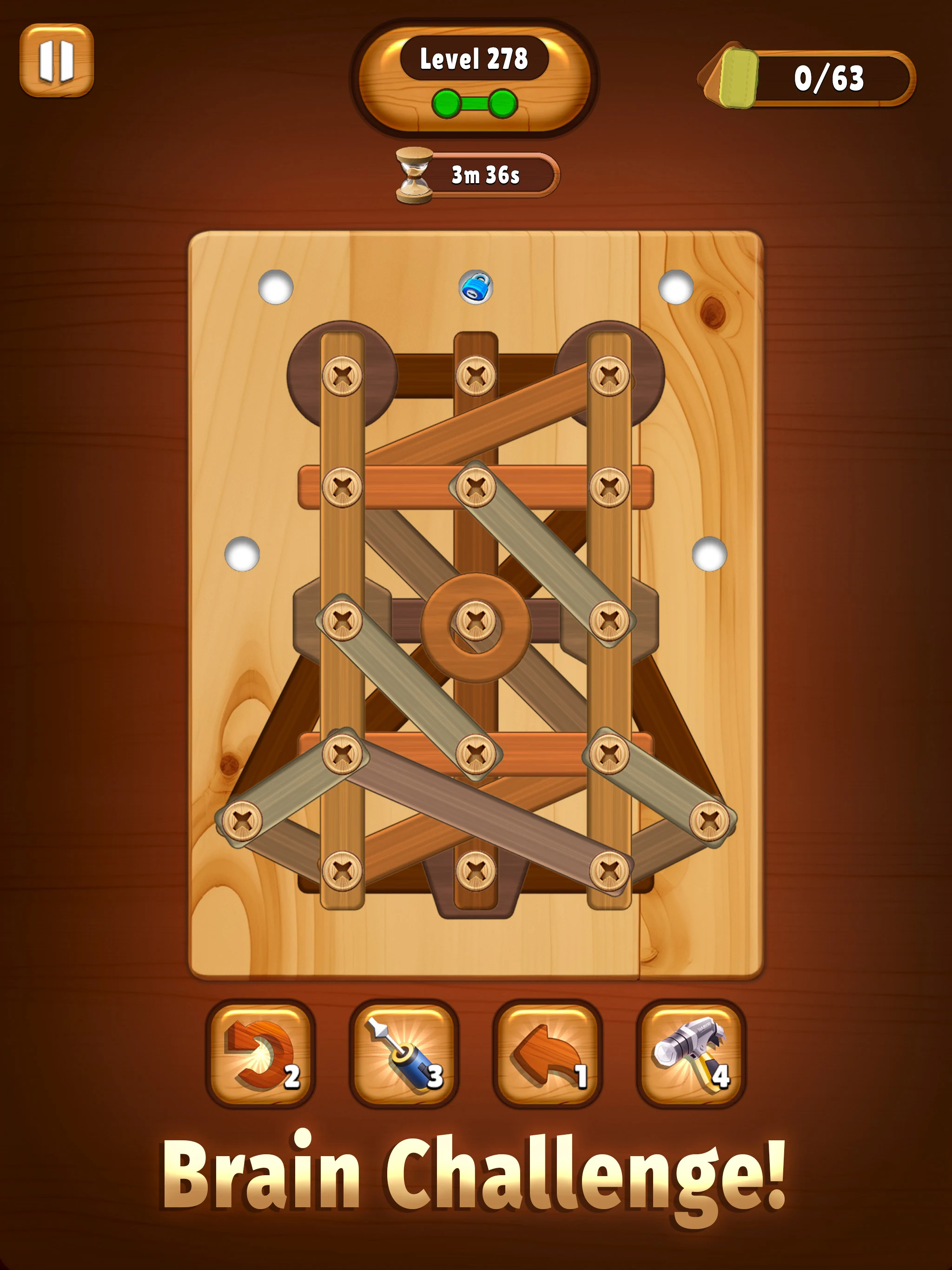 Screw Wood Puzzle - Nuts Bolts screenshot